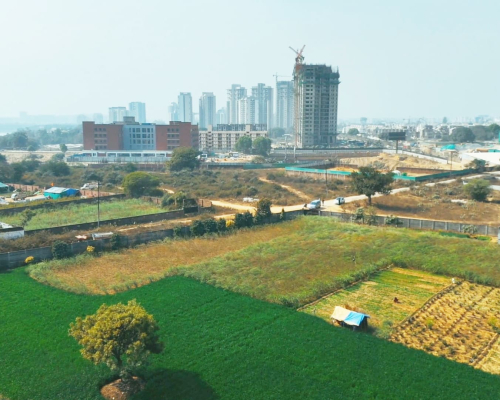 WhatsApp Image 2025-09-26 at 2.30.57 PM