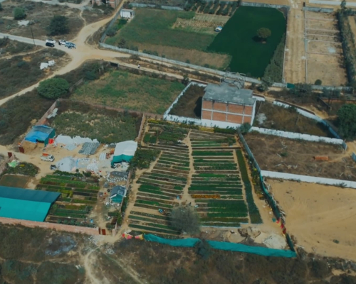 WhatsApp Image 2025-09-26 at 2.31.01 PM