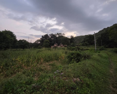 WhatsApp Image 2025-09-29 at 3.39.47 PM