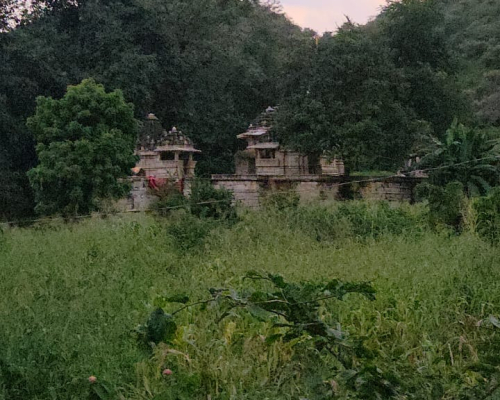 WhatsApp Image 2025-09-29 at 3.39.55 PM (1)