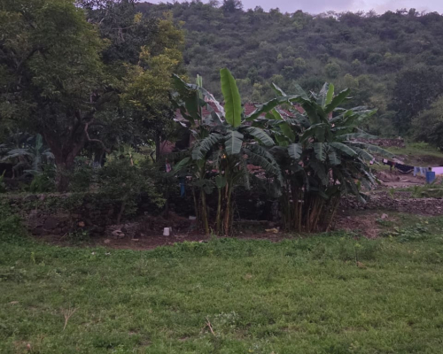 WhatsApp Image 2025-09-29 at 3.39.55 PM